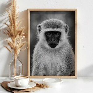 May include: A black and white framed wall art print featuring a portrait of a monkey with a dark face and light fur. The monkey is looking directly forward with a neutral expression. The print is enclosed in a simple light-colored wooden frame.