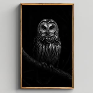 Owl Wall Art Black and White, Mystical Nocturnal Forest Animal Print, Digital Owl Poster, Spiritual Decor, Dark Nature Silhouette, Grayscale