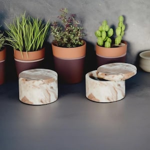 Pode incluir: Duas pequenas caixas redondas de mármore com tampas, uma aberta, em frente a várias plantas em vasos. As caixas têm um padrão marmorizado creme e castanho. As plantas estão em vasos de terracota e roxo escuro.
