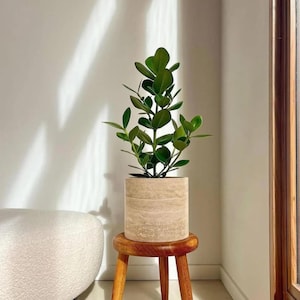 Travertine Stone Planter Set | Luxury Marble Indoor Flower Pot, Minimalist Home Decor