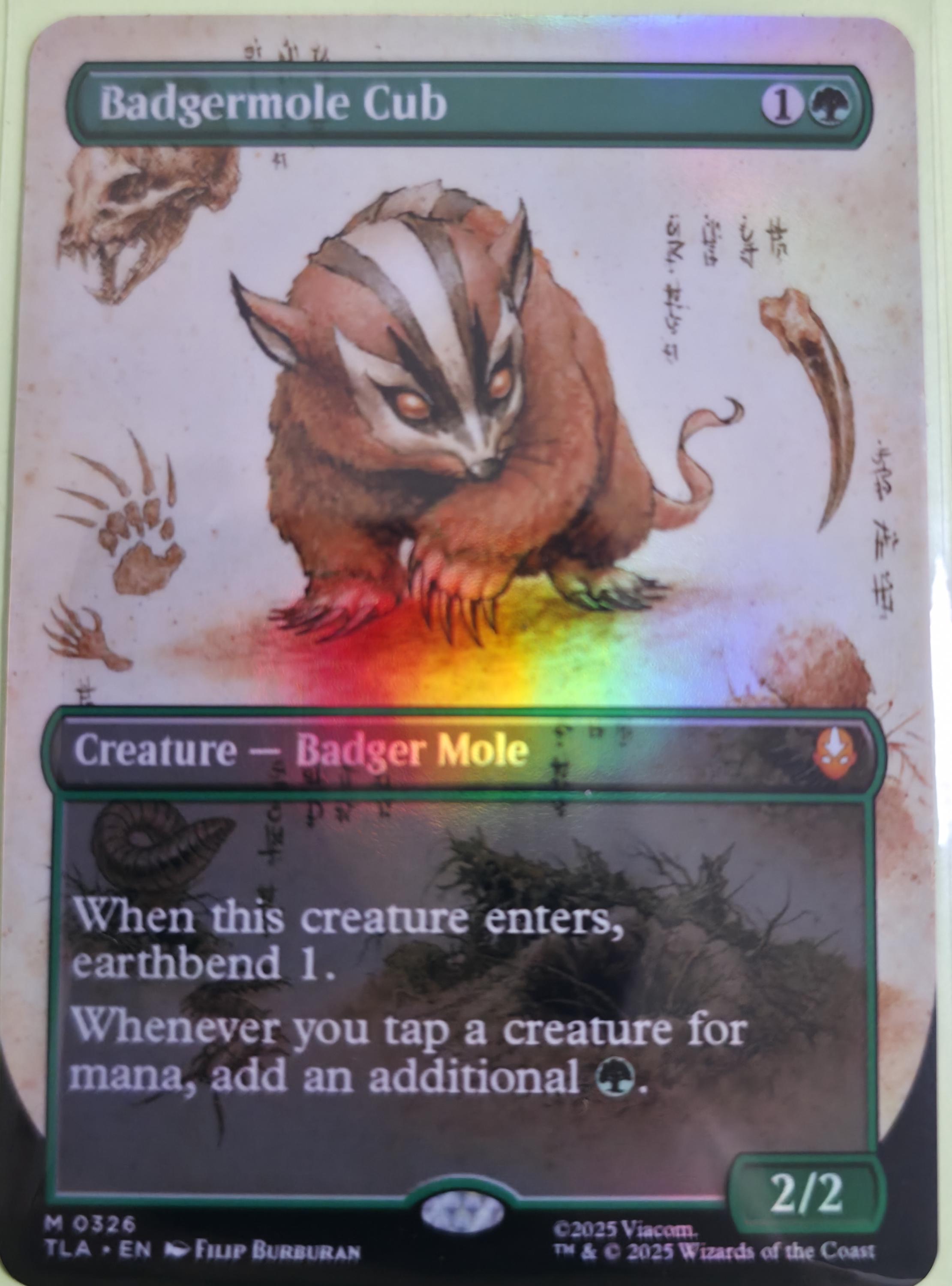 Badgermole Cub (research Notes) (proxy) - Etsy