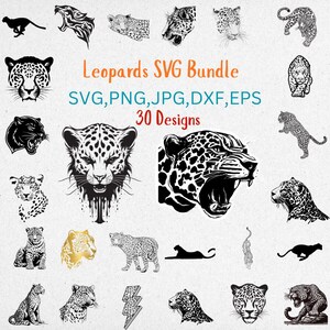 May include: A collection of 30 leopard designs in SVG, PNG, JPG, DXF, and EPS formats. The images include various leopard illustrations, such as running leopards, leopard faces, and silhouettes. The text "Leopards SVG Bundle" is displayed in orange, with the file formats in blue.