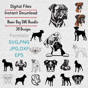 Puede incluir: Un paquete gráfico de descarga digital con 30 diseños de perros Boxer en varios formatos. La imagen incluye el texto "Digital Files, Instant Download, Boxer Dog SVG Bundle, 30 Designs, Formats: SVG, PNG, JPG, DXF, EPS". Los diseños incluyen siluetas e ilustraciones detalladas.