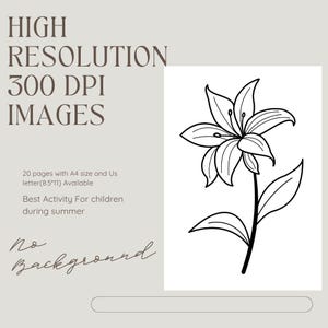 Bloom & Color: 20 páginas para colorir de flores para crianças | Download digital para impressão | A4 + Carta EUA | Conjunto de atividades florais de alta resolução de 300 DPI