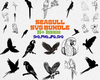 Parrot SVG Bundle – 35+ Colorful Tropical Bird Designs | Exotic Parrot PNG Clipart | Macaw & Cockatoo SVG for Cricut | Wildlife Animal Files