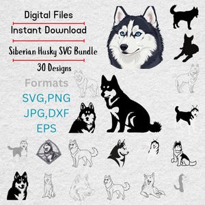 Siberian Husky SVG Bundle | 30 Dog Designs | Cut Files for Cricut & Silhouette | Husky Clipart | Svg Png Jpg Dxf Eps Instant Download