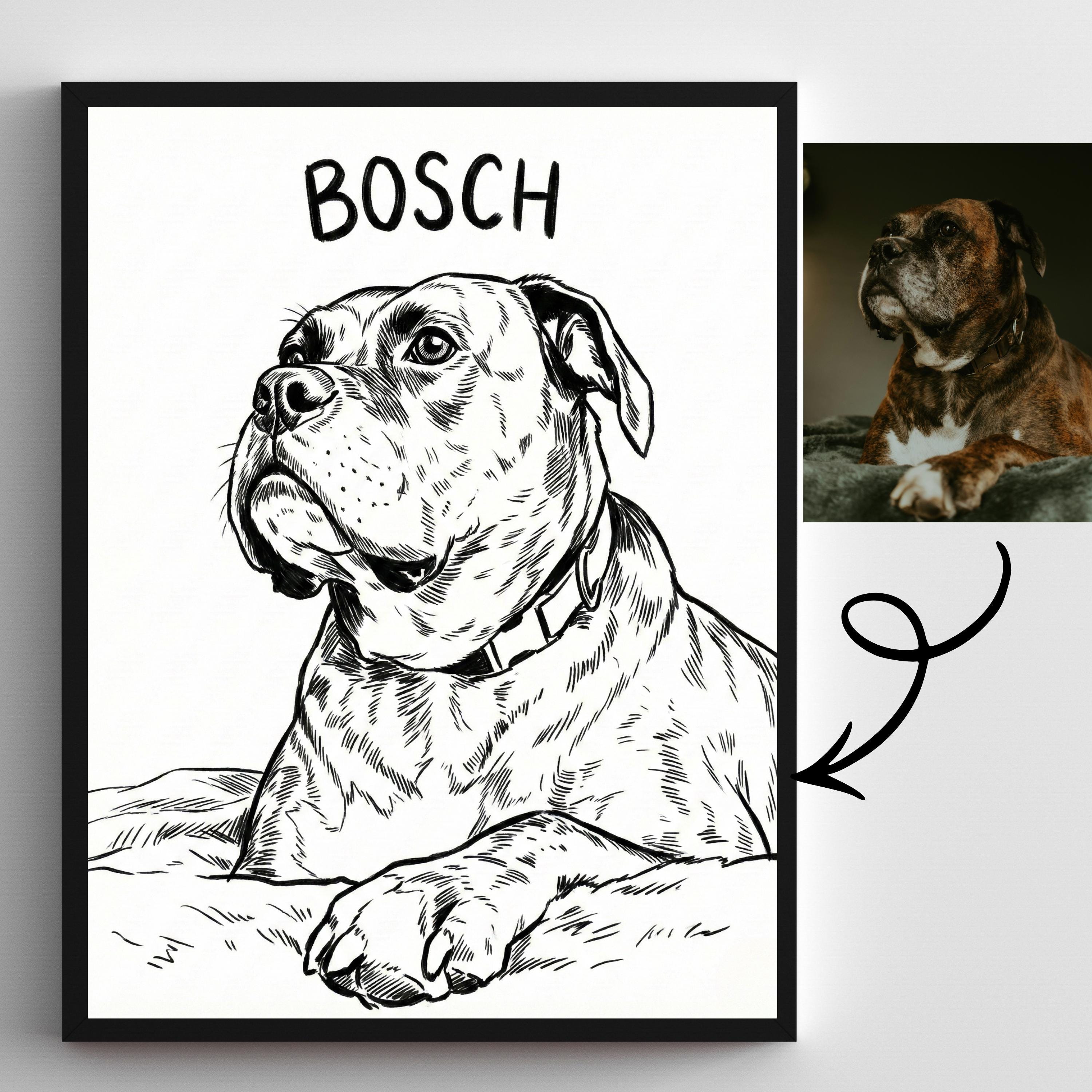 Custom Pet Drawing From Photo, Hand Drawn Dog Cat Doodle Sketch ...