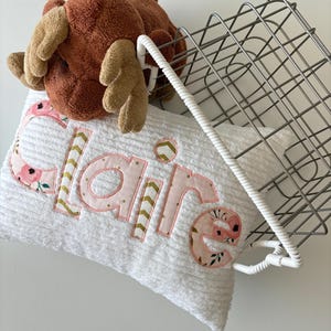 May include: White pillow with the name "Claire" embroidered in pink letters with floral and gold accents. A brown plush moose toy and a wire basket are in the background.