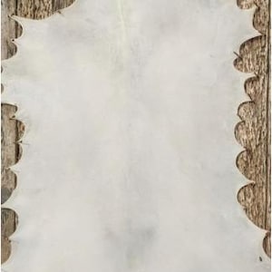 May include: A large, off-white leather hide with a scalloped edge. The hide is laid out on a wooden surface, showcasing its natural texture and shape. The leather appears soft and pliable, with subtle variations in color.