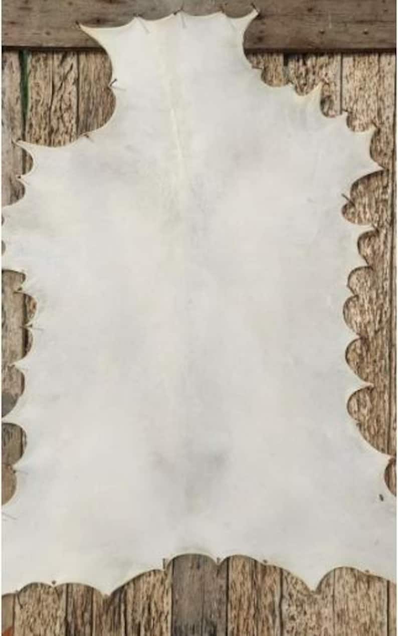 May include: A large, off-white leather hide with a scalloped edge. The hide is laid out on a wooden surface, showcasing its natural texture and shape. The leather appears soft and pliable, with subtle variations in color.