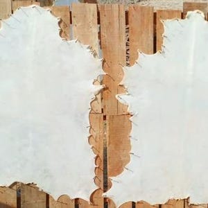 May include: Two white, irregularly shaped leather hides are displayed on a wooden surface. The hides are stretched and secured with small metal staples along the edges. The wooden surface has vertical planks.