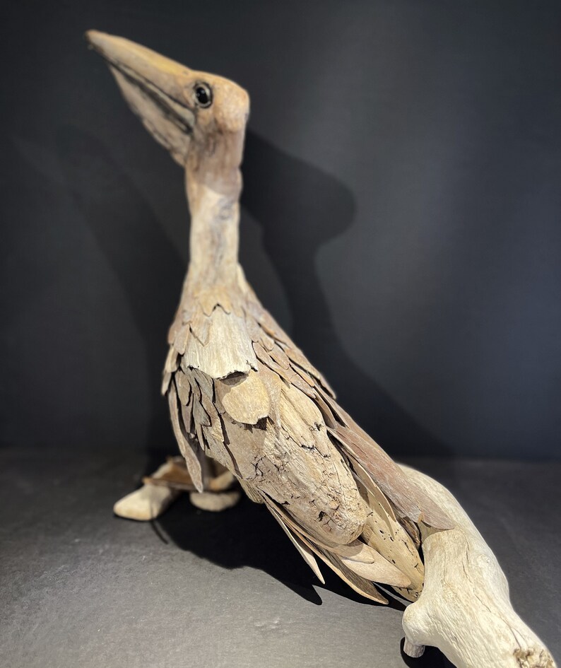 Driftwood Found Wood Pelican Sculpture the Ancient Mariner Etsy