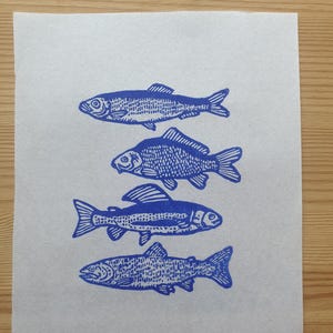 Fische