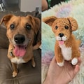 Custom Your Pet Crochet Doll, Look Alike Stuffed Dog Cat, Memorial Stuffed Pet, Personalized Stuffed Toy For Kids, Pet Loss Sympathy Gift product logo