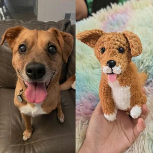 Könnte beinhalten: Ein Vergleich von einem echten Hund und einem gehäkelten Hund. Der echte Hund ist braun mit rosa Zunge und sitzt auf einem Sofa. Der gehäkelte Hund ist braun und weiß mit rosa Zunge und wird in einer Hand gehalten.