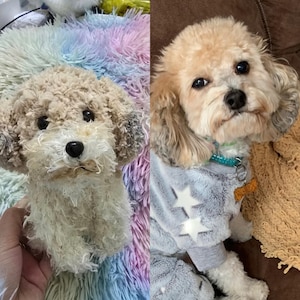 Custom Pet Look Alike Crochet Doll, Memorial Gifts for Pet Lovers, Loss of Pet, Customized Pet Crochet Doll, Dog Mom Dad Gift, Pet Amigurimi