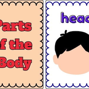 Parts of the Body Flashcards