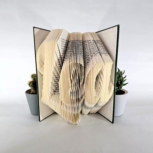 May include: A book art sculpture featuring the folded pages of a hardback book to form the letters L-E-O. The book has a dark green cover and is positioned between two small potted succulent plants in grey and white ceramic containers.