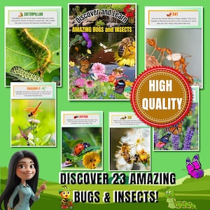 Flashcards Bugs & Insects met leuke weetjes voor kinderen | Posters en displays met insecten | Wetenschapshulpmiddel