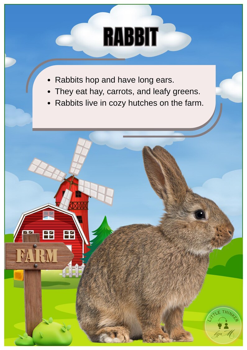 20 Farm Animal Flashcards With Fun Facts Educational & Printable