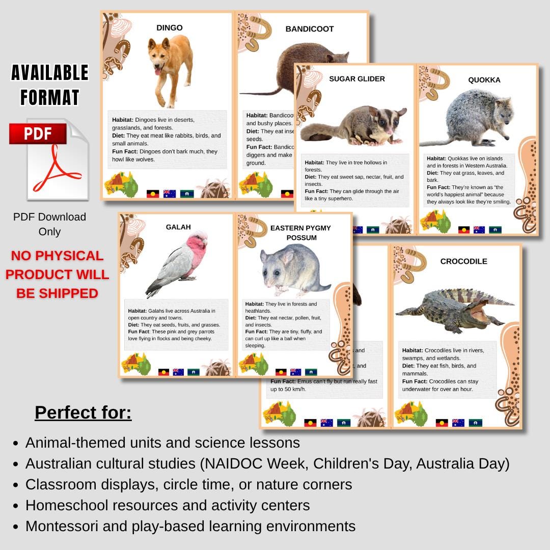 Australian Animal Flashcards | Educational Flashcards for Kids ...