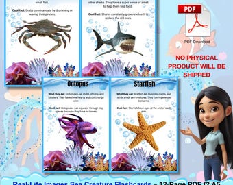 Real-Life Sea Creature Flashcards | Ocean Animal Learning Cards for Kids | Ocean Theme | Under the Sea | Printable Sea Animals