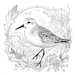Bird Coloring Book for Adults: Stress Relief & Relaxation (digital ...