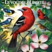 Bird Coloring Book for Adults: Stress Relief & Relaxation (digital ...