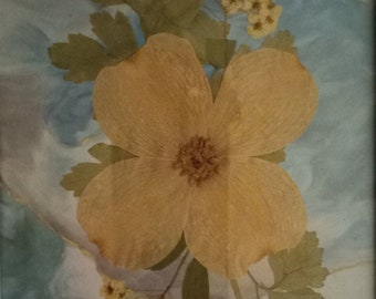 Pressed Flower Picture