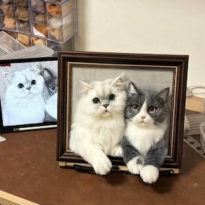 May include: A dark brown rectangular picture frame containing a three-dimensional display of two fluffy cats. One cat is white with large dark eyes, and the other is gray and white with amber eyes. Both cats appear to be resting on the frame edge.