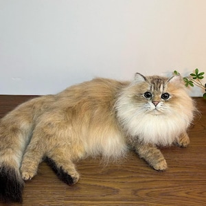 Anpassad filtkopia av husdjur för kattplysch / Neede-filtad kattskulptur / Realistisk minnesgåva för förlust av katt
