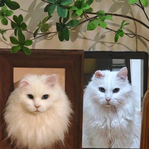 Felt Wool Pet Portrait Memorial /Custom Needle Felted Cat Portrait / 3D Wool Pet Replica in Wooden Frame /Pet Loss Gift