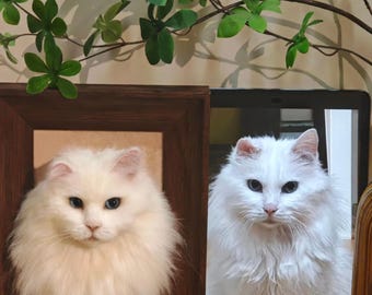 Felt Wool Pet Portrait Memorial /Custom Needle Felted Cat Portrait / 3D Wool Pet Replica in Wooden Frame /Pet Loss Gift