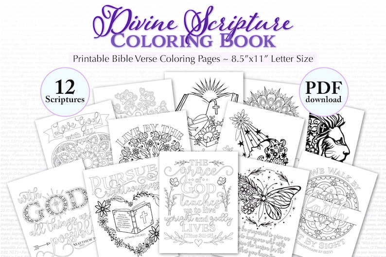 Divine Scripture Coloring Book 12 Bible Verse Coloring Pages for Adults Printable 8.5x11 image 1