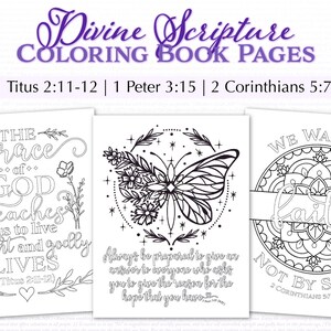 Divine Scripture Coloring Book 12 Bible Verse Coloring Pages for Adults Printable 8.5x11 image 5