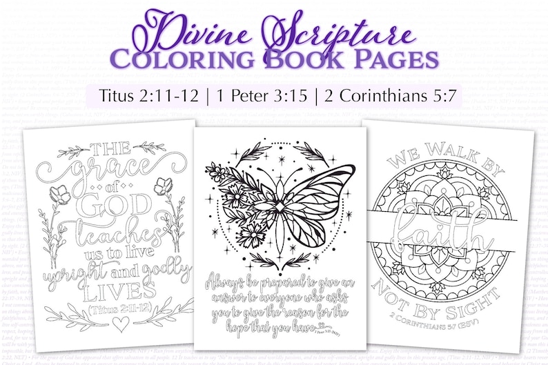 Divine Scripture Coloring Book 12 Bible Verse Coloring Pages for Adults Printable 8.5x11 image 5