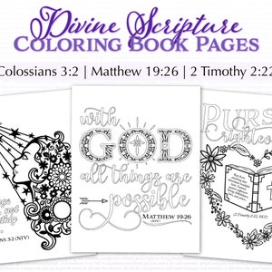 Divine Scripture Coloring Book 12 Bible Verse Coloring Pages for Adults Printable 8.5x11 image 4