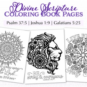 Divine Scripture Coloring Book 12 Bible Verse Coloring Pages for Adults Printable 8.5x11 image 3