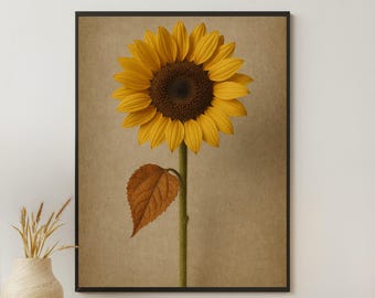 Rustic Sunflower Wall Art - Vintage Botanical Illustration, Farmhouse Decor