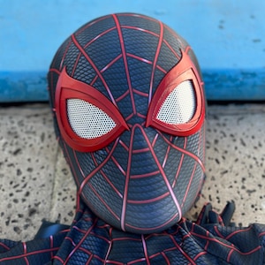 May include: A black and red Spider-Man mask and costume. The mask has red eye frames with white mesh eye coverings. Red lines form a web pattern across the black surface of the mask and costume.