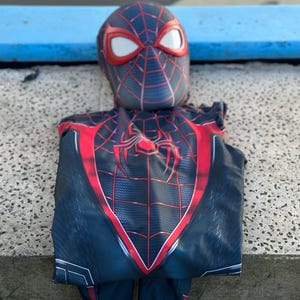 May include: A black and red Spider-Man costume with a mask featuring white eye lenses. The costume has a spider emblem on the chest and red web detailing. The suit is made of a textured fabric.