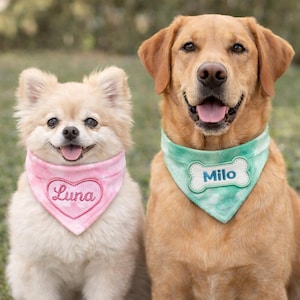 Könnte beinhalten: Zwei Hunde mit Halstüchern. Ein kleiner, hellfarbiger Hund trägt ein rosa Halstuch mit dem Namen "Luna". Ein größerer, goldfarbener Hund trägt ein grünes Halstuch mit dem Namen "Milo" auf einem knochenförmigen Aufnäher.