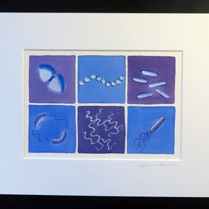 Bacteria in Lavender and Blue original watercolor painting microbiology art image 2