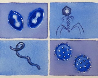 Blue and Purple Viruses - original watercolor painting - science art