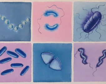 Bacteria in Pink and Blue - original watercolor painting - microbiology art