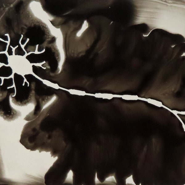 Black Motor Neuron - peinture à l’encre originale de cellules cérébrales - art des neurosciences