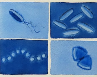 Blue Microbes - original watercolor painting of bacteria - microbiology art