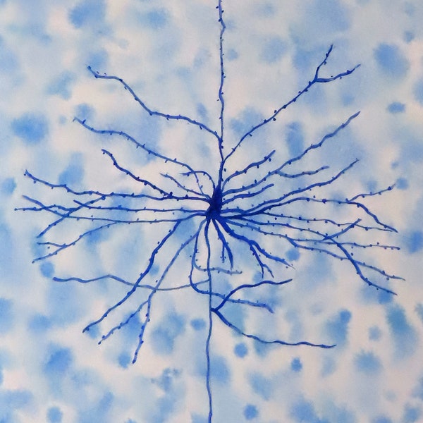 Cellule pyramidale d'après Cajal - aquarelle originale de neurone - art neuroscience