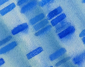 Gel Electrophoresis in Cobalt Blue 2 - Original Watercolor Painting- Genetics DNA art
