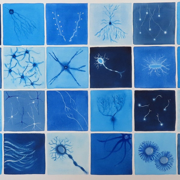 Cellules cérébrales bleues - aquarelle originale de neurones - Art en neurosciences